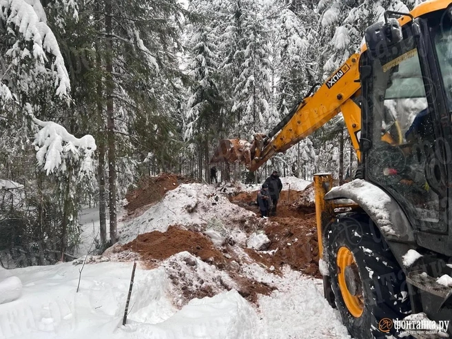 Источник: «Фонтанка.ру»