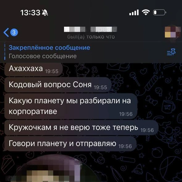 Догадливая подруга сразу начала проверять мошенников | Источник: Из личной переписки Софии