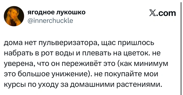 Источник: X (Twitter)