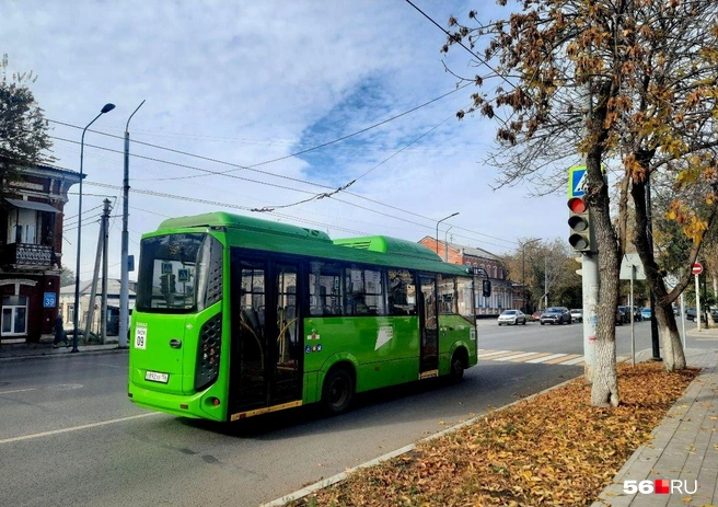 Новый мэр назвал некоторые автобусы «крокодилами» | Источник: Анастасия Баринова / 56.RU