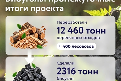 НЛМК делает биоуголь из древесных отходов