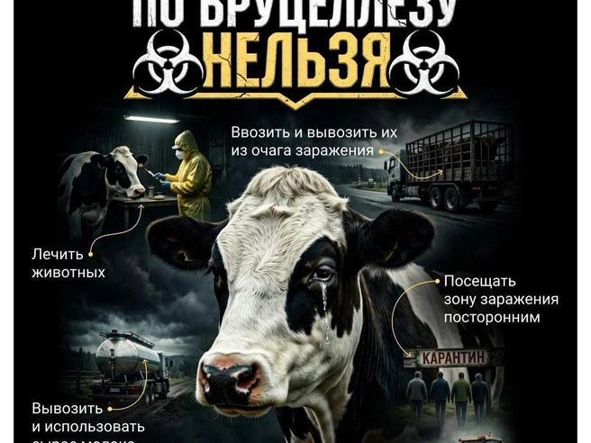 Источник: Полина Авдошина / V1.RU