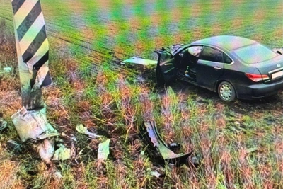 Водитель пострадал в ДТП со столбом в Воронежской области