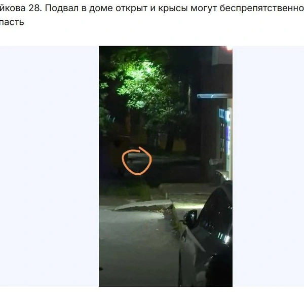 Источник: uslugi.tatarstan.ru