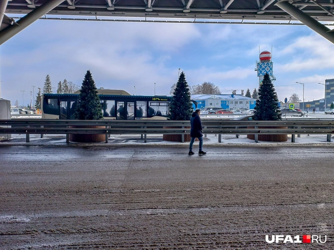 Смотрим, как автобус проезжает мимо | Источник: Булат Салихов / UFA1.RU