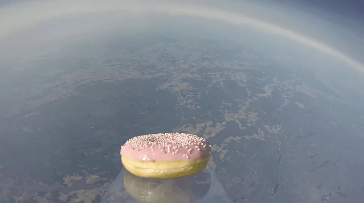 Шведские исследователи запустили в космос… пончик