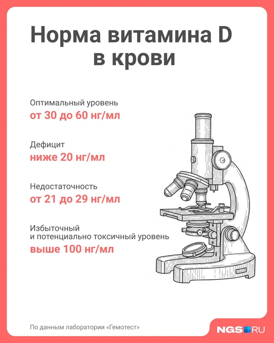 Источник: Юрий Орлов / Городские медиа