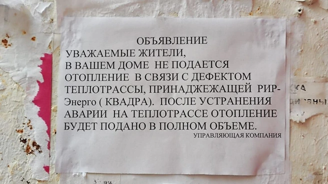 Источник: читатель Voronezh1.ru