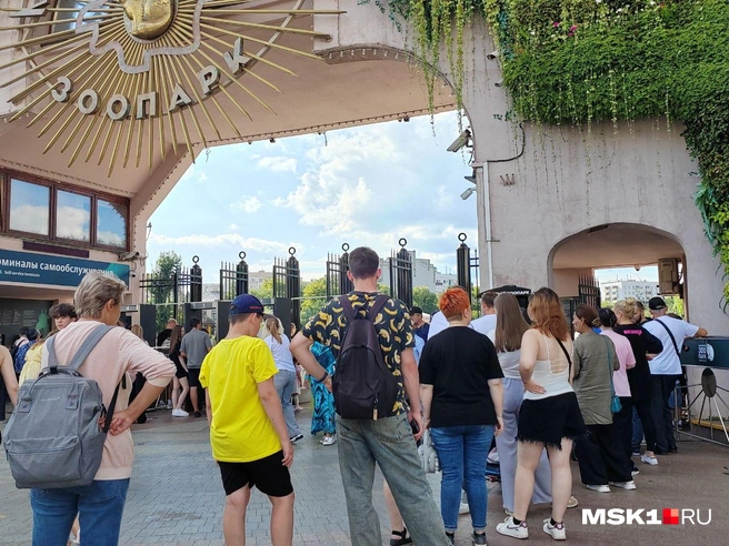 Источник: Михаил Мечев / MSK1.RU