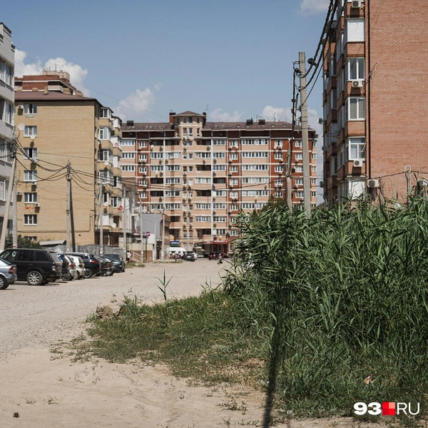 Источник: Дарья Паращенко / 93.RU