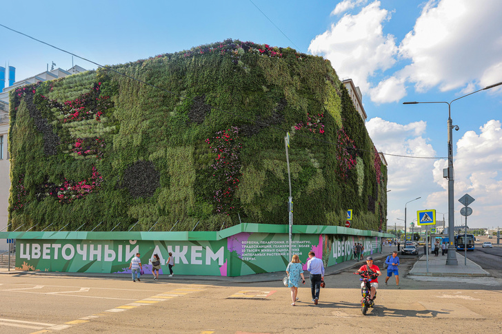 Сад по вертикали: в центре Москвы выросла стена из растений и цветов