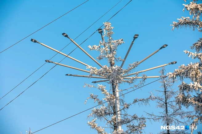 Источник: Максим Серков / NGS42.RU