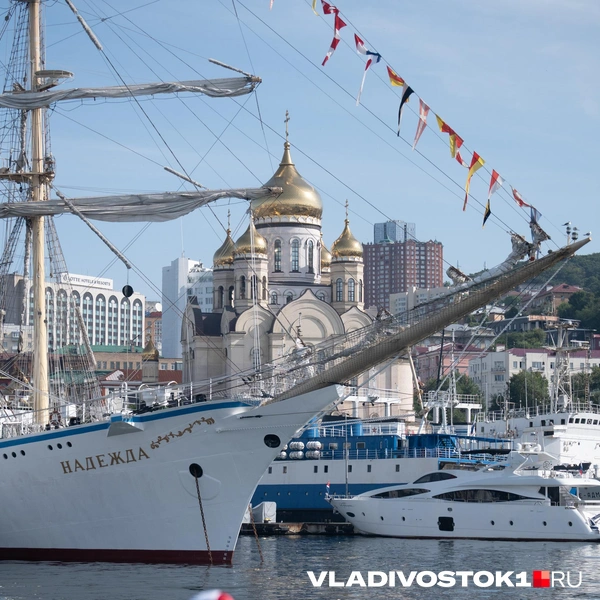 Источник: Елена Буйвол / VLADIVOSTOK1.RU