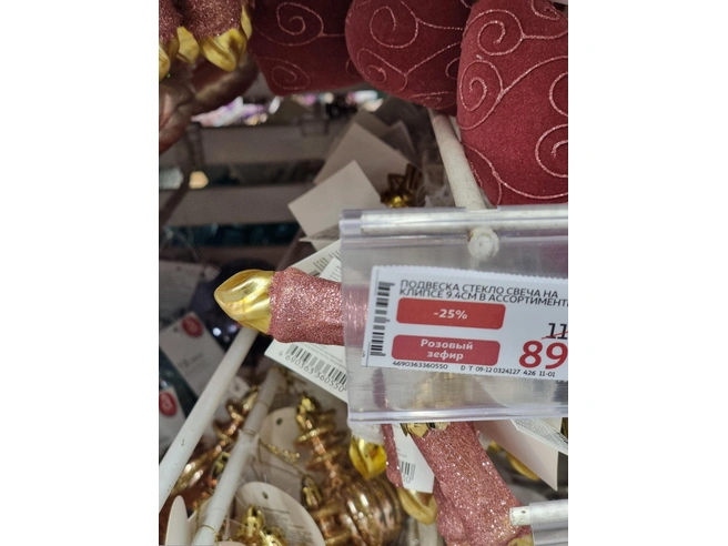 Выглядывает | Источник: Роман Данилкин / 63.RU