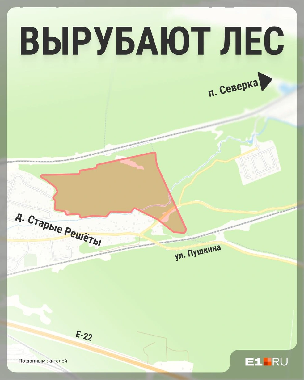 Вырубка ведется в районе деревни Старые Решёты | Источник: Филипп Сапегин / E1.RU