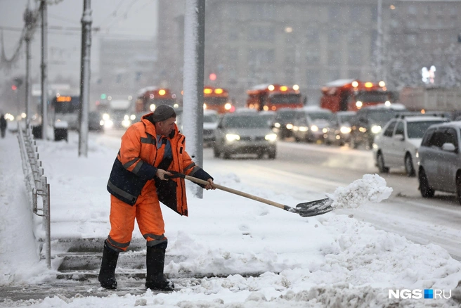 Источник: Александр Ощепков / NGS.RU