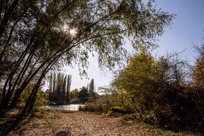 К 2050 году в Ростовской области зимы потеплеют, а засухи участятся