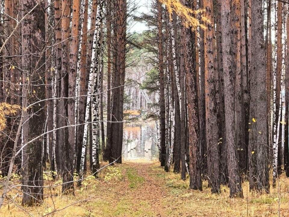 Какой город называется «Каменный мешок»? Тест на топонимику Иркутской области