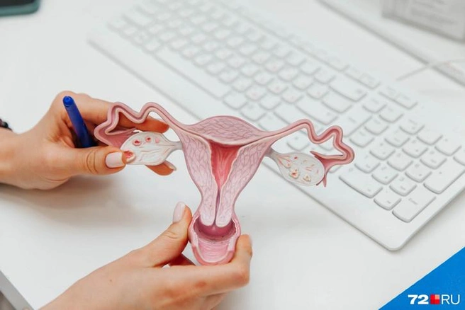Почему у женщин бывает менструация?