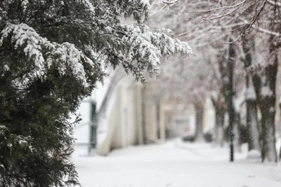 Snowy Weekend in Rostov Oblast