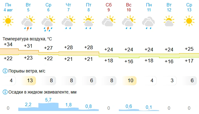 Больше всего осадков ожидается в среду, 6 августа | Источник: Gismeteo