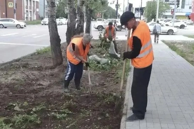 ГСТК обновило 20 тысяч квадратов газонов в Благовещенске