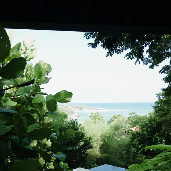 Источник: Соцсети