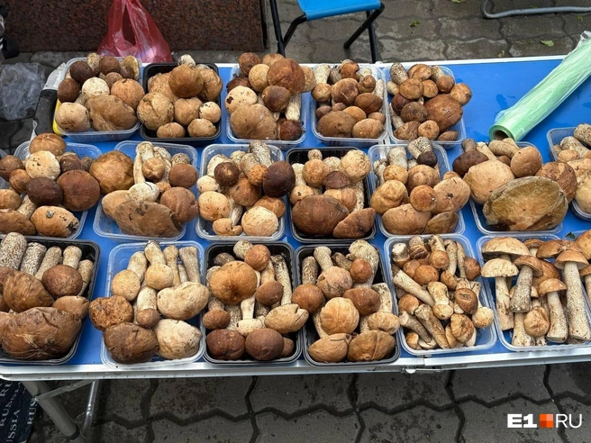 Маленький лоточек с грибами стоит 500 рублей | Источник: Ксения Мельникова / E1.RU