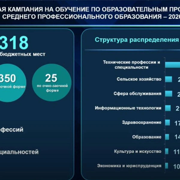 Источник: скриншот совещания главы Башкирии в правительстве региона