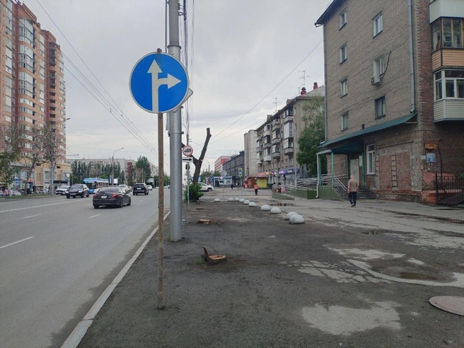 На некоторых участках остались пни | Источник: читатель НГС