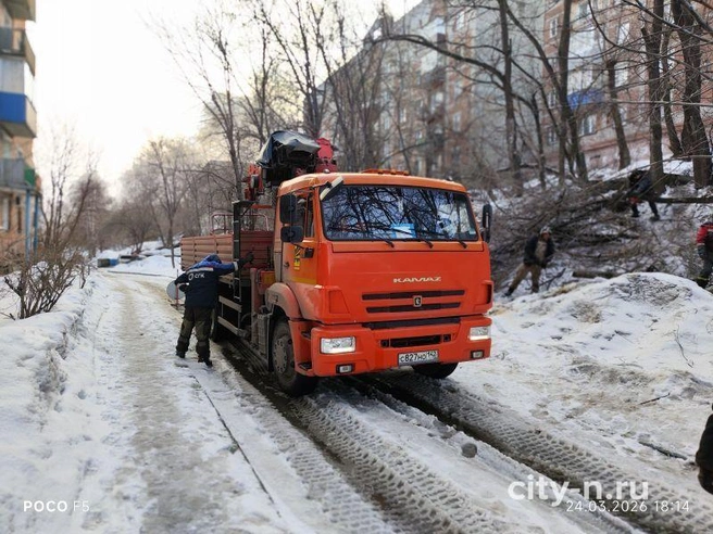 Источник: www.city-n.ru
