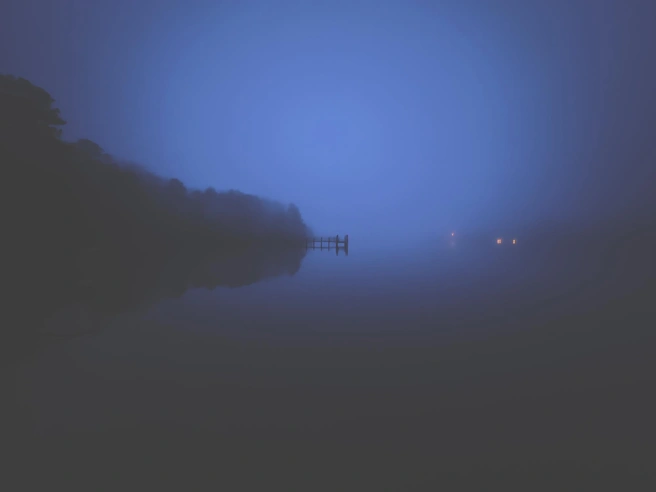 Источник: Martha Nance / Ippawards.com