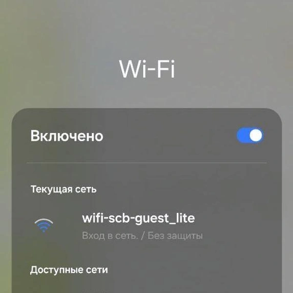 Источник: Сергей Гендин / 164.RU