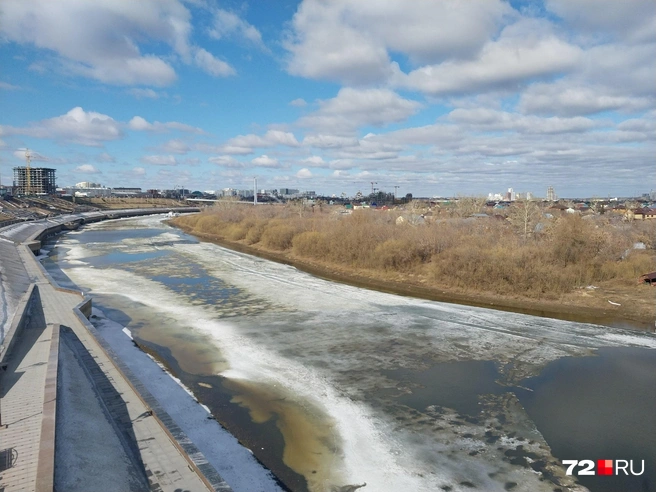 Показываем главную реку города | Источник: Анастасия Давыдова / 72.RU