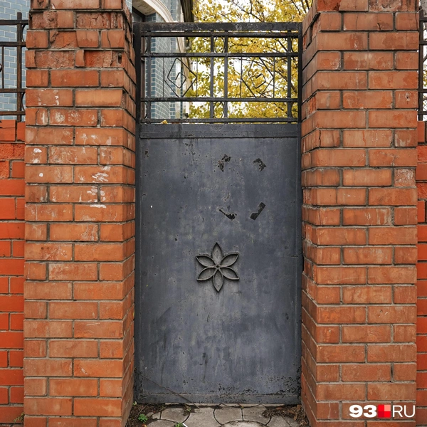 Источник: Дарья Паращенко / 93.RU