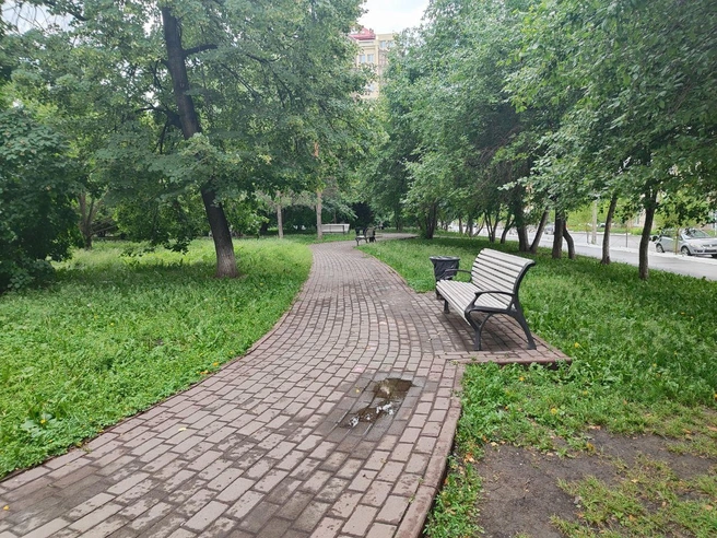 Источник: NGS.RU