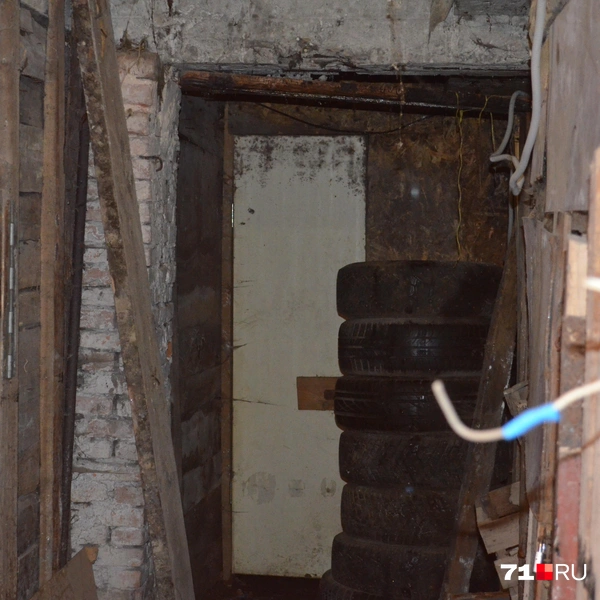 Плесень покрывает бетон | Источник: Максим Улитов / 71.RU