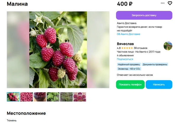 Источник: сайт бесплатных объявлений