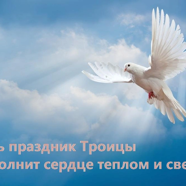Источник: vokrugsveta.ru