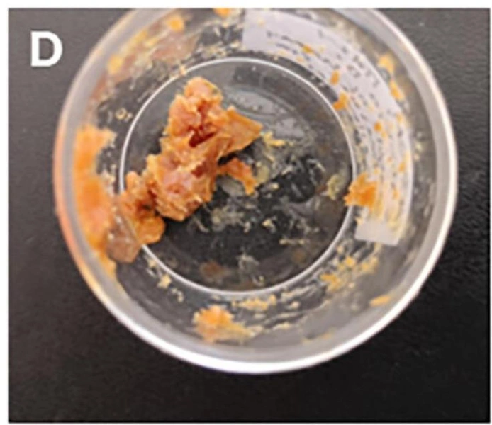Исследованный учеными осадок | Источник: Luciana da Costa Carvalho et al. / Journal of the American Chemical Society