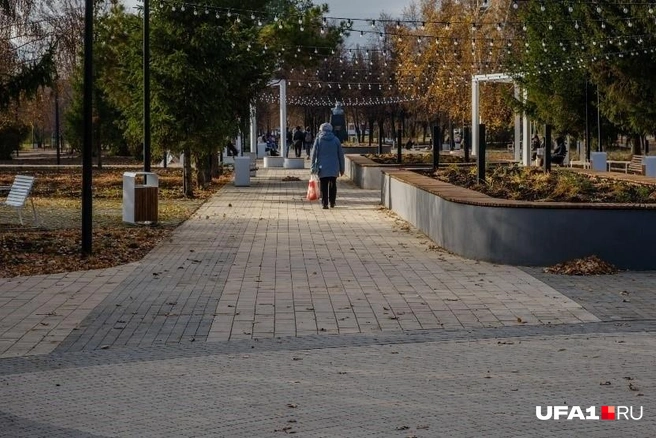 Ну а что, всякое может быть | Источник: Булат Салихов / UFA1.RU