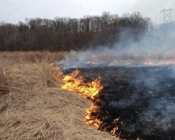 Крупный пожар в Красноярске: выгорело около шести гектаров сухой травы | ngs24.ru