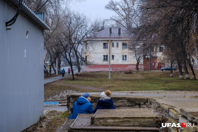 Обсуждают будущее | Источник: Булат Салихов / UFA1.RU