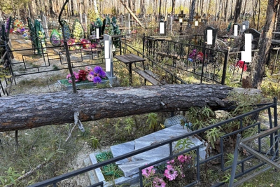 Посещение кладбища в Чистопрудном запрещено из-за противопожарного режима