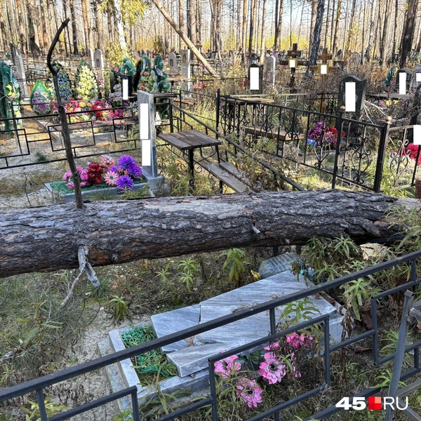 Источник: Кирилл Митин