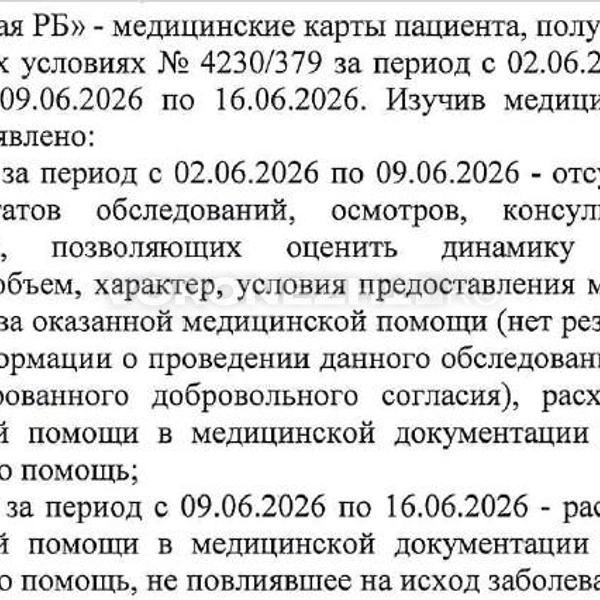 Выводы врачей-экспертов страховой медицинской компании «Инко-Мед» о качестве помощи, которую Николаю Швецову оказывали в Калачеевской ЦРБ | Источник: Предоставлено Аллой Швецовой