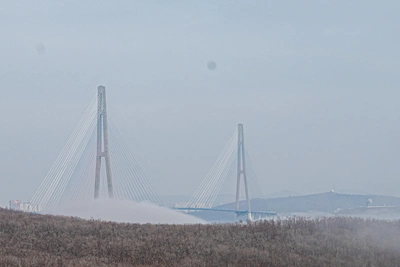 Проект застройки Поспелово отменён после протеста прокуратуры