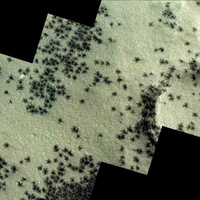 Выползают по весне: откуда на поверхности Марса полчища гигантских «пауков»?