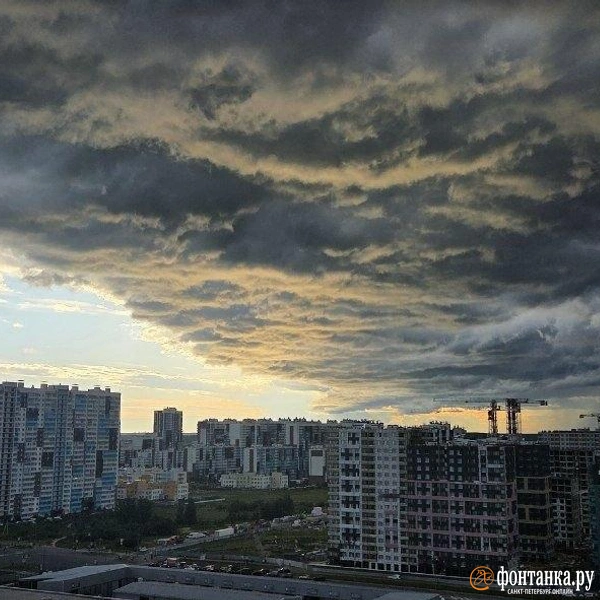 Источник: читатель «Фонтанки» Амиран