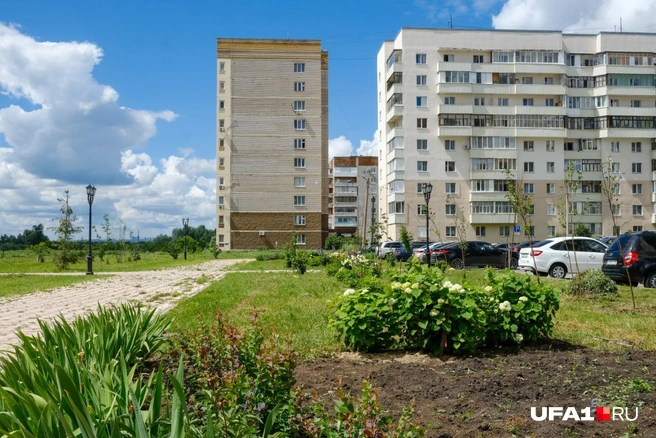 Машины вплотную прилегают к зеленым насаждениям